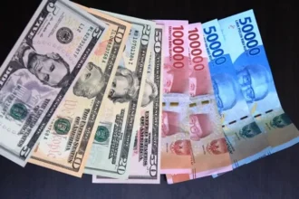 Img 20241019 143957069