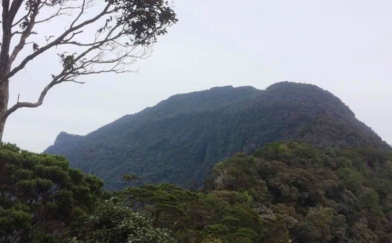 Bukit Raya