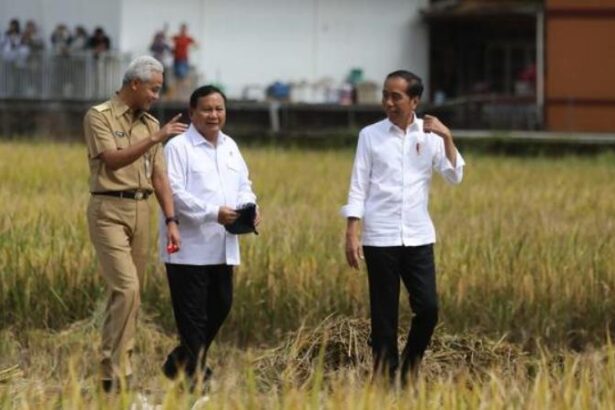harga gabah pangan