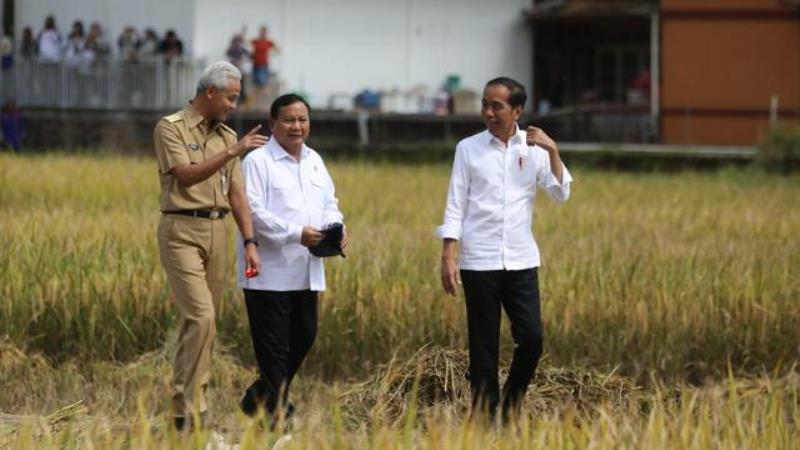 harga gabah pangan