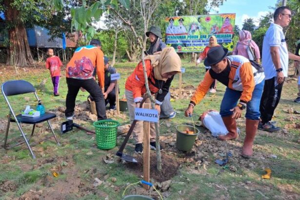 Penanaman Pohon Di Flamboyan Bawah