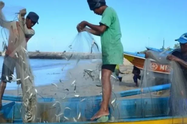 Illegal Fishing