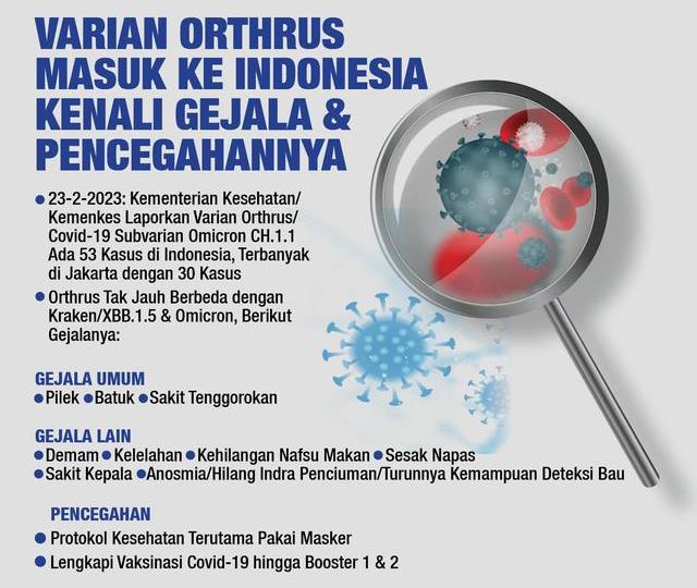 Varian Orthrus yang merupakan subvarian baru covid-19 Masuk ke Indonesia Kenali Gejala dan Pencegahannya