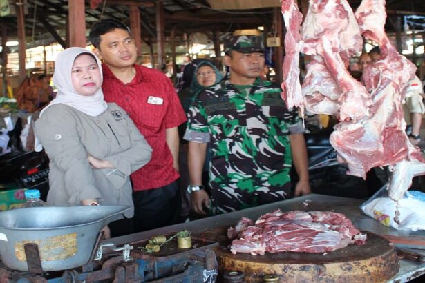 Pj Bupati Barsel Cek Stok Dan Harga Barang