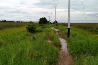 Ruas Jalan Rantau Bahuang Paminggir