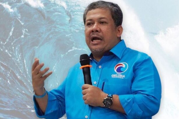 Fahri Hamzah