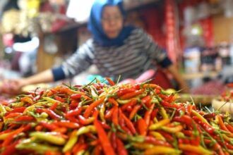 harga cabai rawit di palangka raya