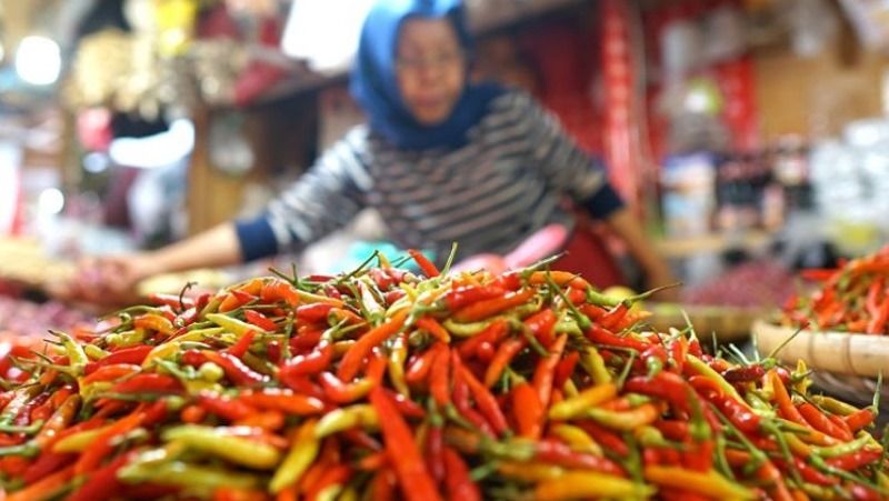 harga cabai rawit di palangka raya