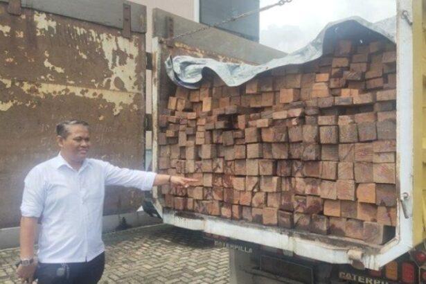 Kayu Ulin Asal Tumbang Samba