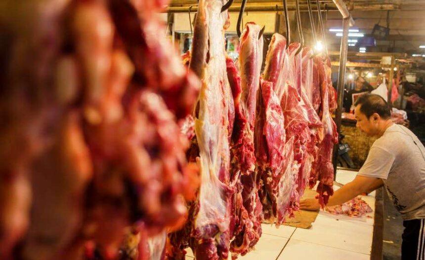 Stok Daging Sapi Di Kalteng Jelang Idulfitri
