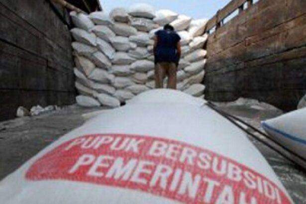 Ilustrasi Pupuk Bersubsidi