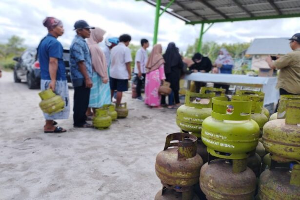 Img 20230612 Wa0028 Copy 800x533