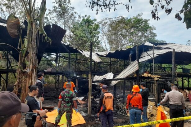 Img 20230618 Wa0015 Copy 711x533