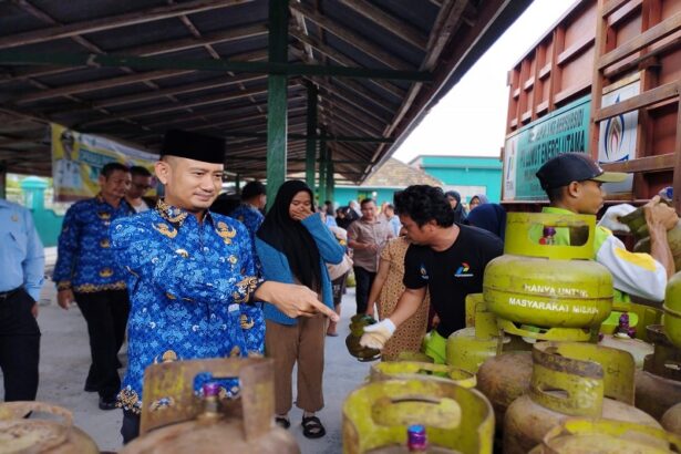 Whatsapp Image 2023 06 19 At 20.32.40