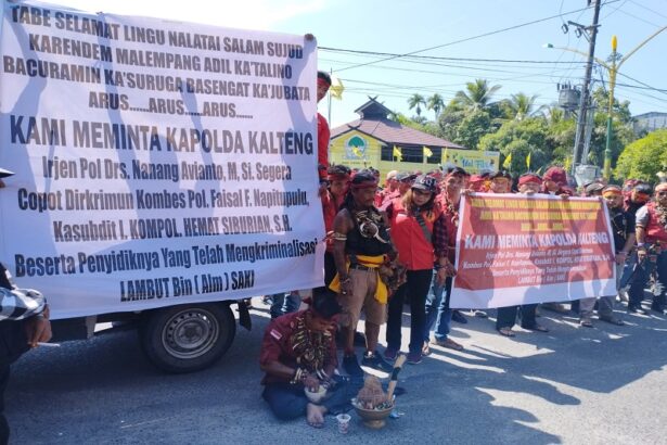 Whatsapp Image 2023 06 22 At 18.30.52