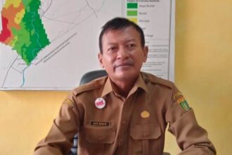 Alip Suraya