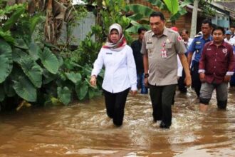 Tinjau Banjir Barsel