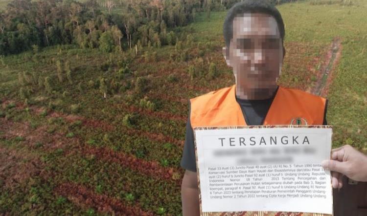 Warga Sambas Buka Kebun Sawit Di Tntp Kalteng