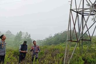 Bikin Konten Di Menara Sutet, Pria Ini Tersengat Listrik Hingga Hangus Terbakar