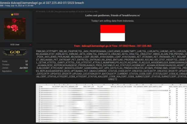 Data Dukcapil Bocor