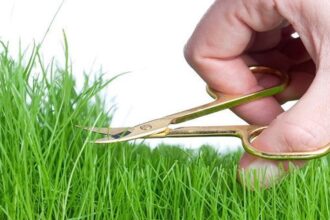 Ilustrasi mencukur rambut organ intim