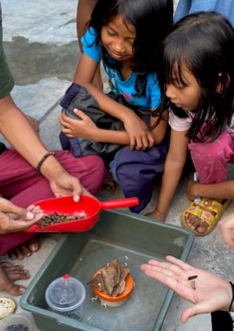 Maggot, Solusi Penanganan Sampah Organik 3