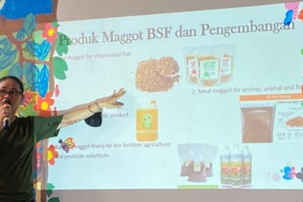 Maggot Solusi Penanganan Sampah Organik