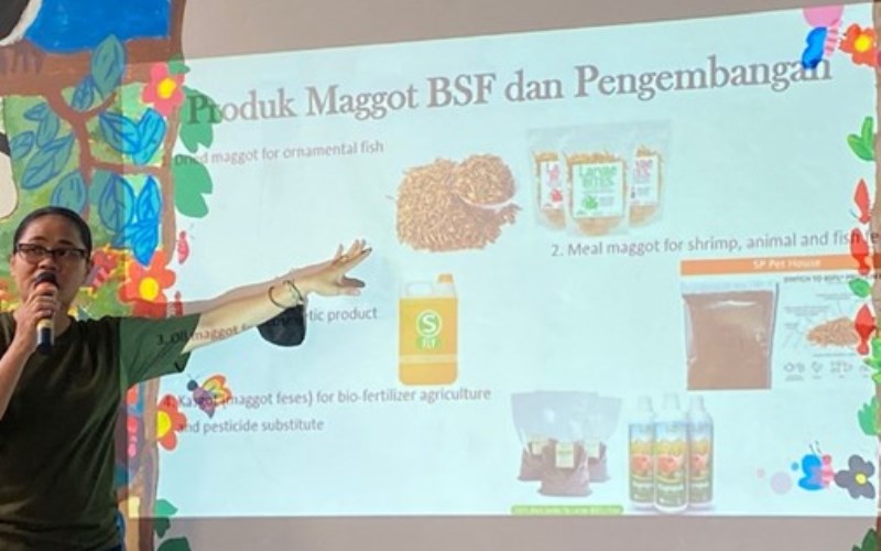 Maggot Solusi Penanganan Sampah Organik