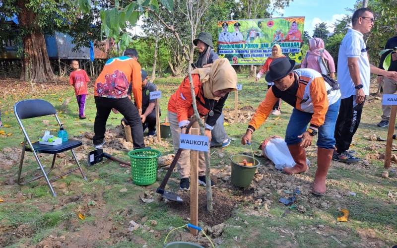 Penanaman Pohon Di Flamboyan Bawah