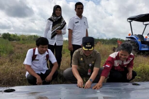 Pj Bupati Barsel Tanam Cabai