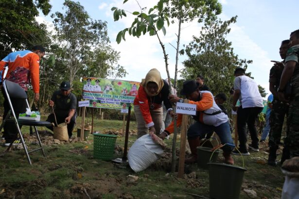 Tanam Pohon Cgh Ablasi