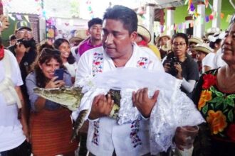 Wali Kota Nikahi Buaya Betina