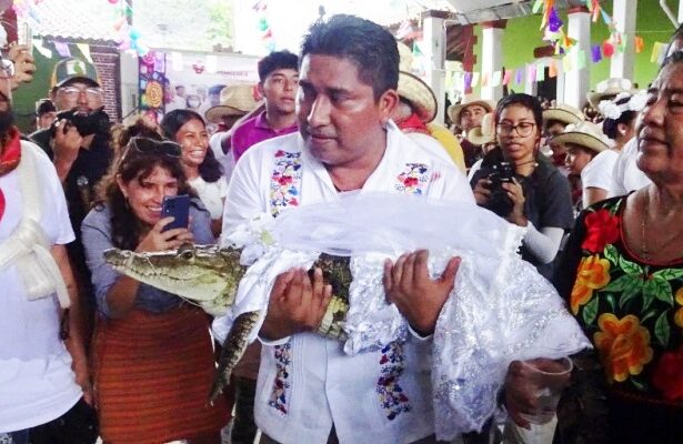 Wali Kota Nikahi Buaya Betina