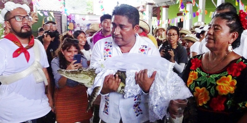 Wali Kota Nikahi Buaya Betina