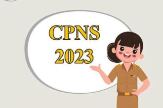 Ilustasi Cpns Dan Pppk 2023