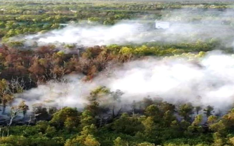 Karhutla Palangka Raya