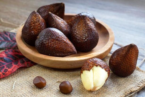 Manfaat Buah Salak