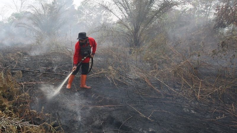 Pemadaman Karhutla Palangka Raya