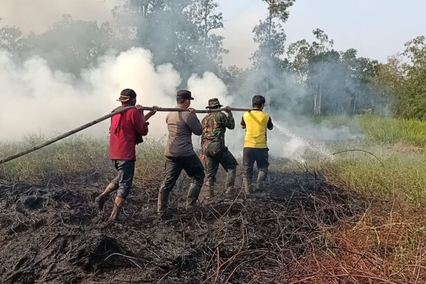 Tim Satgas Tni Polri Padamkan Karhutla