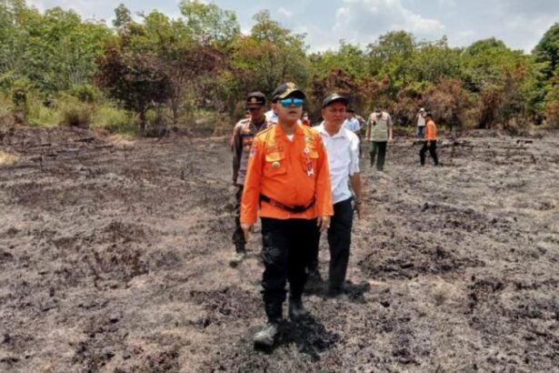 Karhutla Di Desa Babai Barsel
