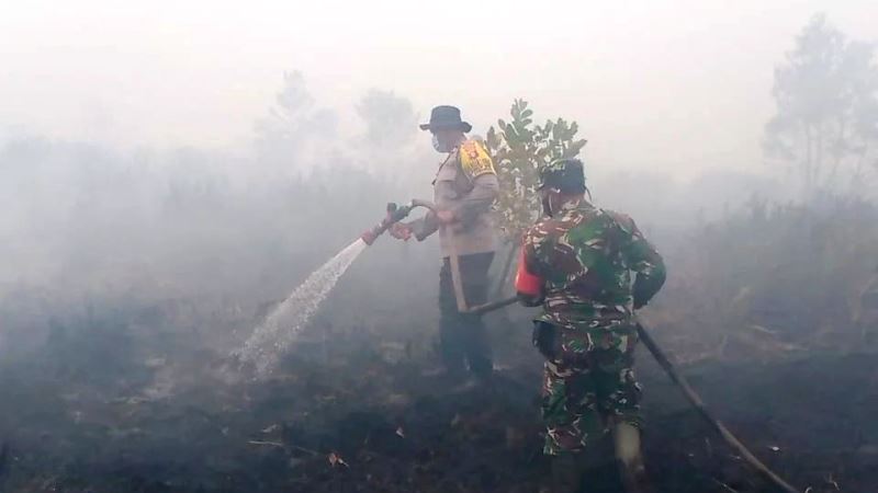 Karhutlan Sabangau