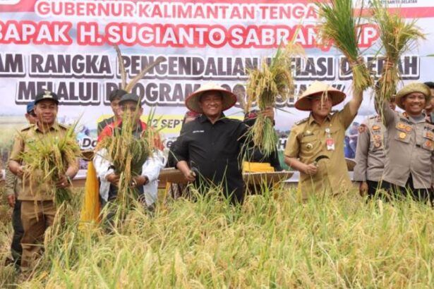Panen Perdana Padi Inpari Barsel