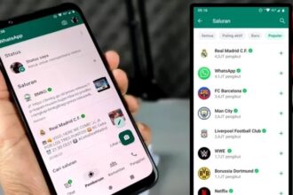 Whatsapp Channel