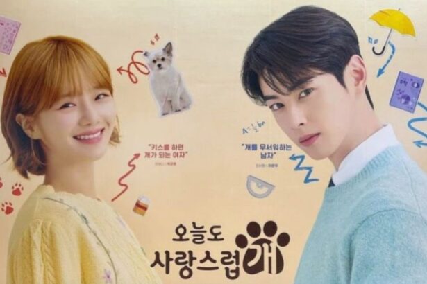 Drakor A Good Day To Be A Dog