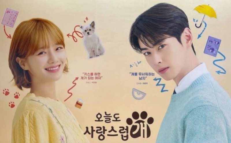 Drakor A Good Day To Be A Dog