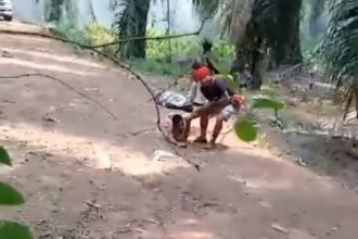 Evakuasi Warga Tertembak Di Pt Hmbp Seruyan