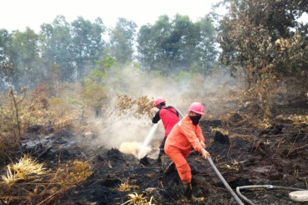 Pemadaman Karhutla
