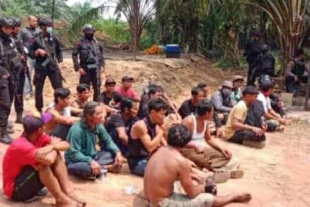 Rusuh Pt Hmbp 20 Warga Bangkal Ditahan