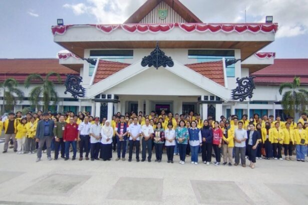 Mahasiswa Kkn
