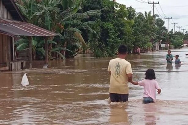 Ai Google Bisa Prediksi Banjir Secara Akurat Tujuh Hari Sebelum Kejadian
